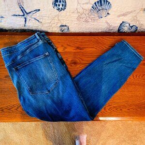 Downing Studio Plus Size Petite Stretch Straight Leg Jeans - Size 24 - 26" Long